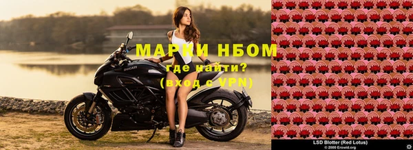 молекула духа Няндома