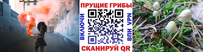 Псилоцибиновые грибы MAGIC MUSHROOMS  Островной 